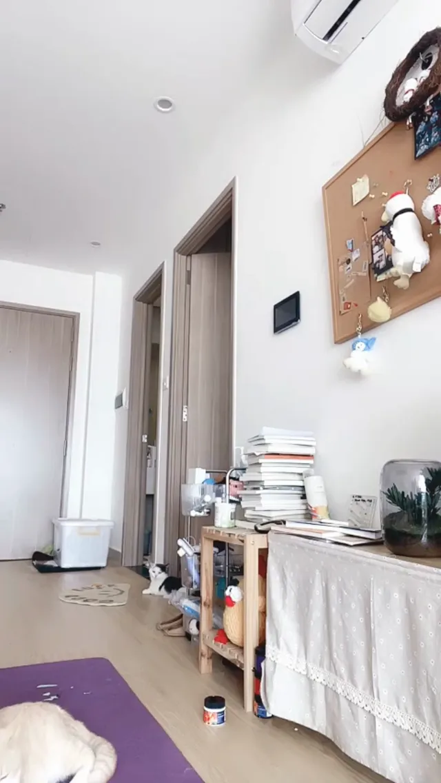  一个人在家精彩大秀展示，全程露脸无毛白虎逼跟狼友撩骚互动，揉捏骚奶子敞开腿小道具摩擦阴蒂真骚