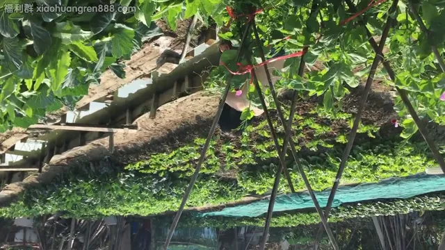 推特露出網紅，大胆露出无视路人 调戏老头大爷
