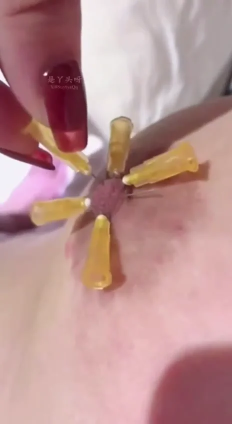 极品校花已化身反差母狗，白虎嫩逼用超大胡萝卜自慰真是可惜了，被金主调教户外露出