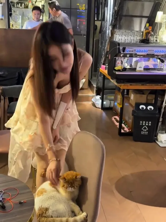 愛貓的女孩