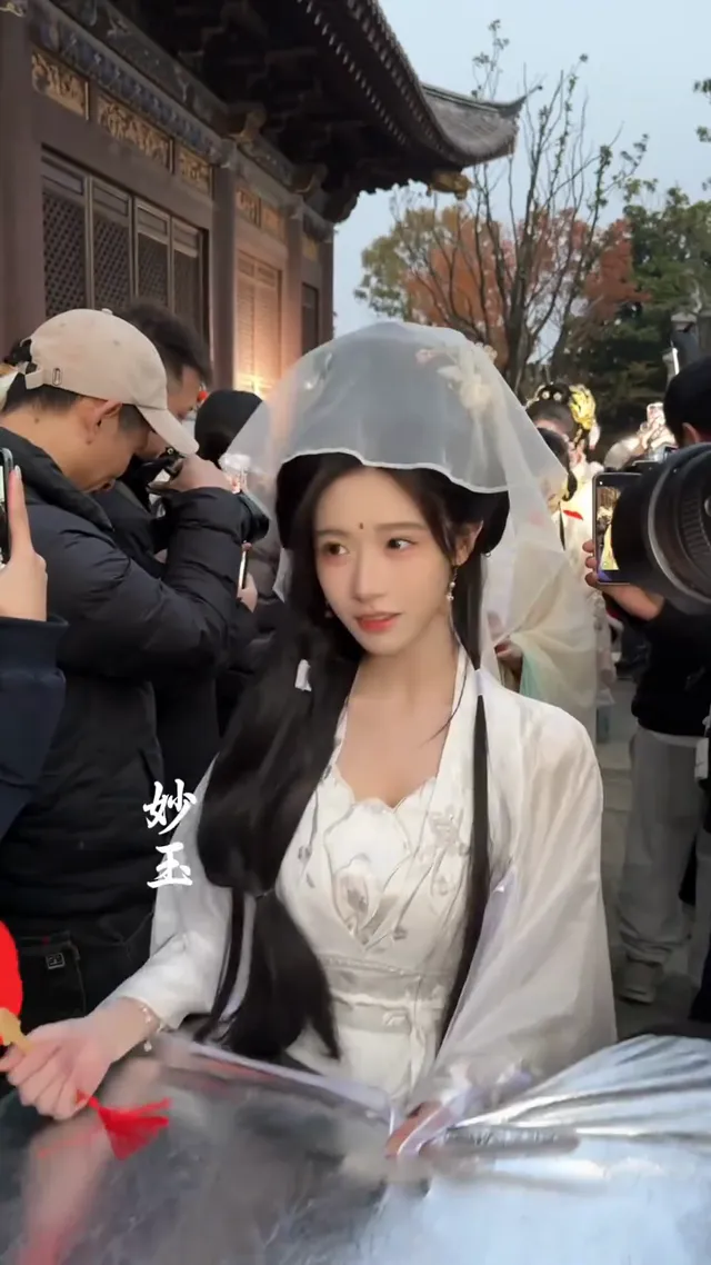 金陵十二金釵