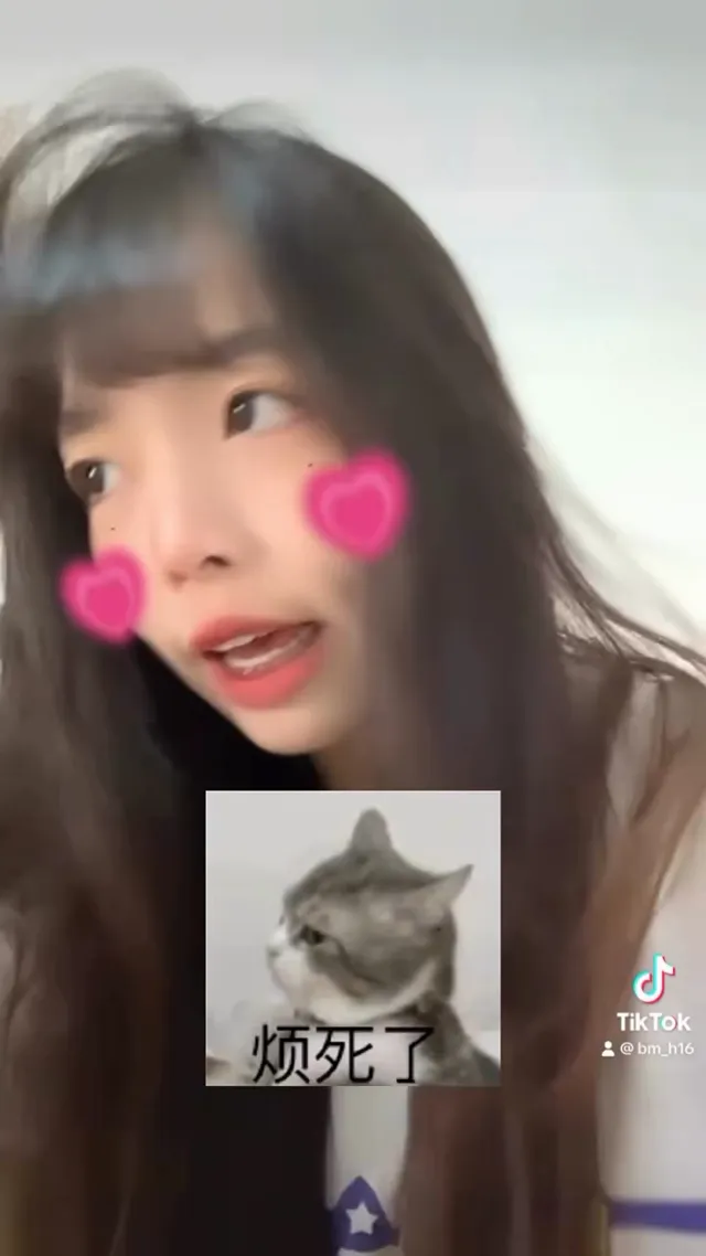 聽我說～謝謝你～因為有你～😻  #fyp #fypシ #客家 #客家人