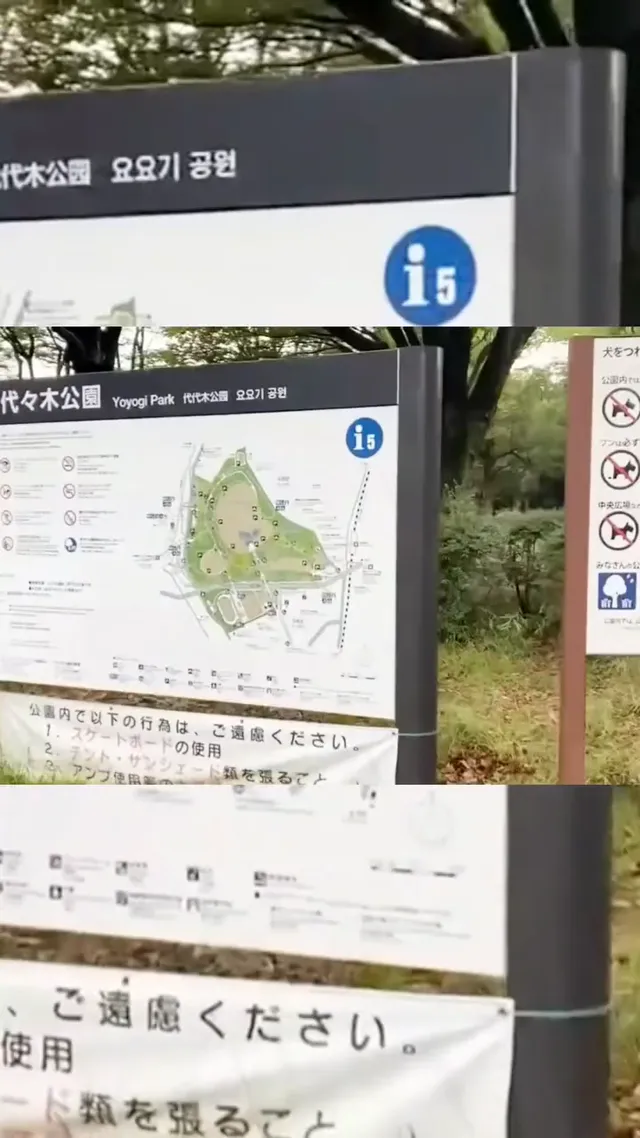 嗨～又來見面啦，今天想我了嗎？