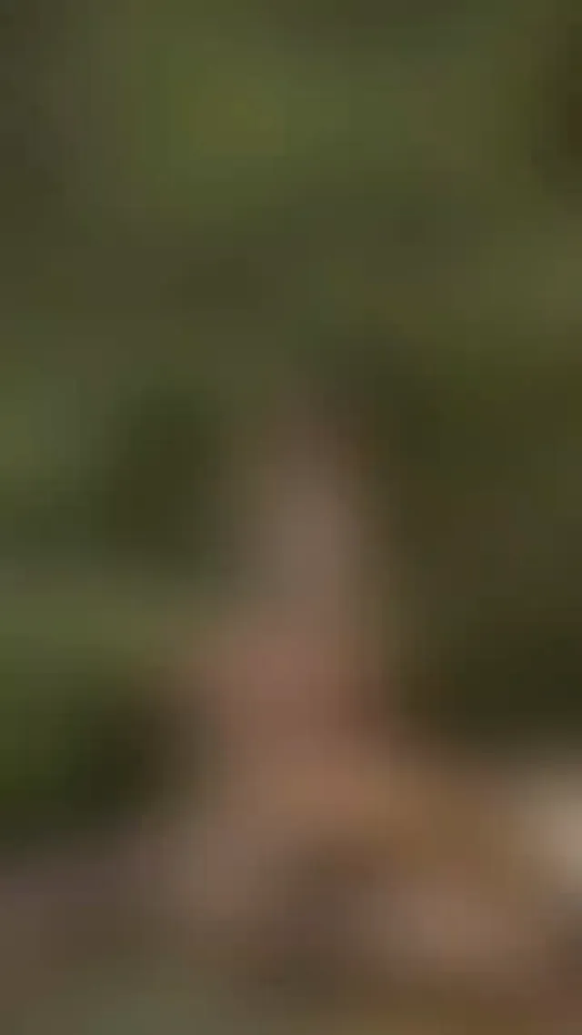 這樣看我，是不是想帶我回家？