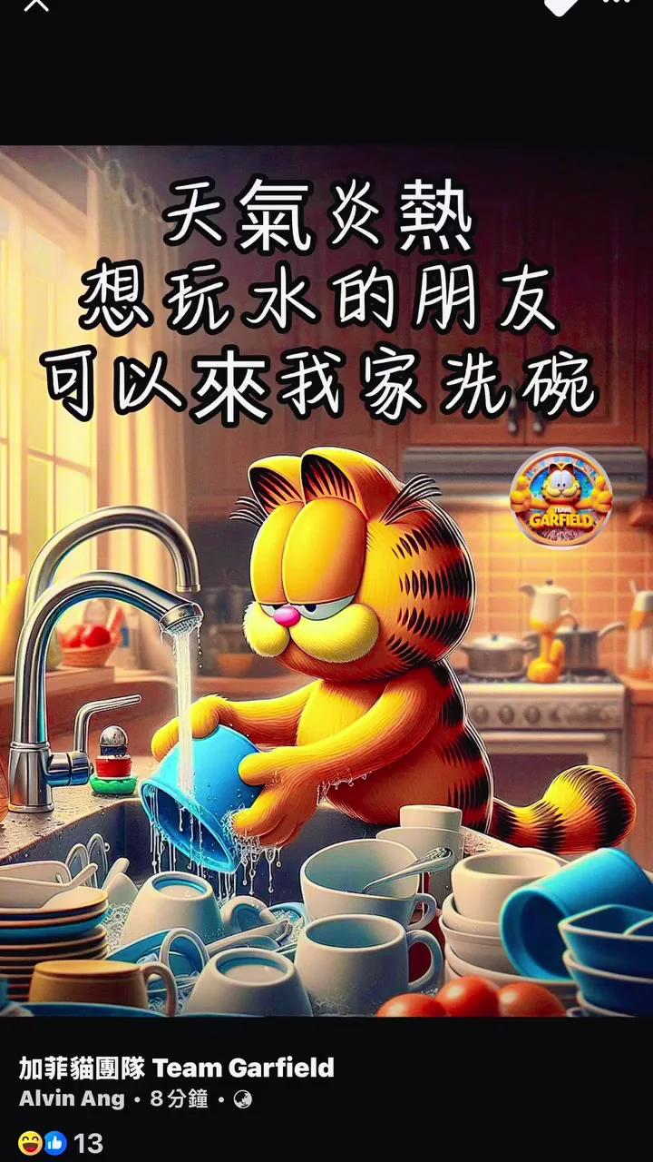北流同人展讓我多看了好幾遍 20250515_加菲貓_1