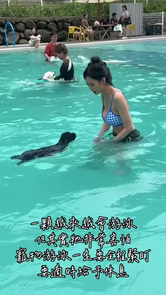 小紅書氣質美女小內衣自拍，古典與性感融合！ 玩水嘍