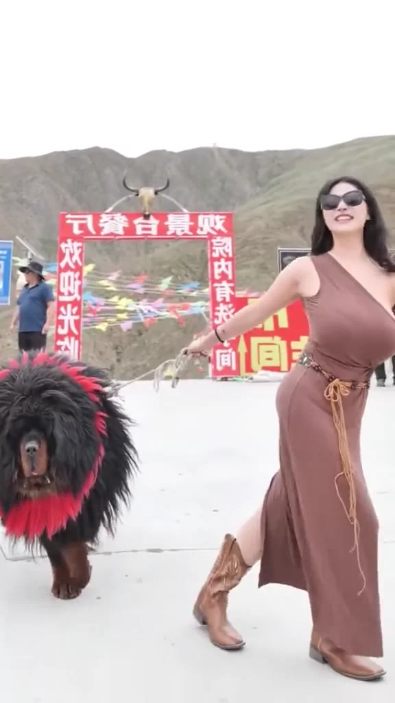 影片女神大長腿小內衣熱舞，古典與現代衝擊感十足！ 狗狗好大隻呀