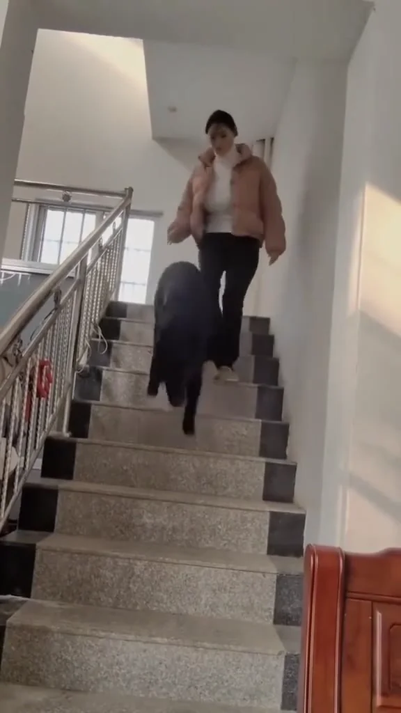 抖音甜美小姐姐小背心熱舞，眼神太會勾人！ 帶狗狗散步哦