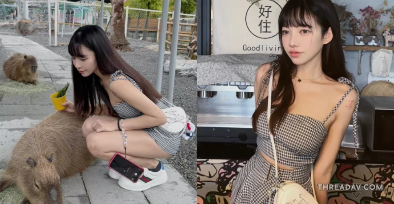 發現星夢森林中的美女「小八」：少女感十足的驚人秘密揭露！