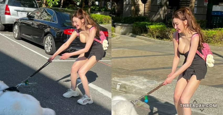 【爆笑片】中和「巨乳長腿妹」遛狗卡斑馬線上，結果讓路人傻眼！