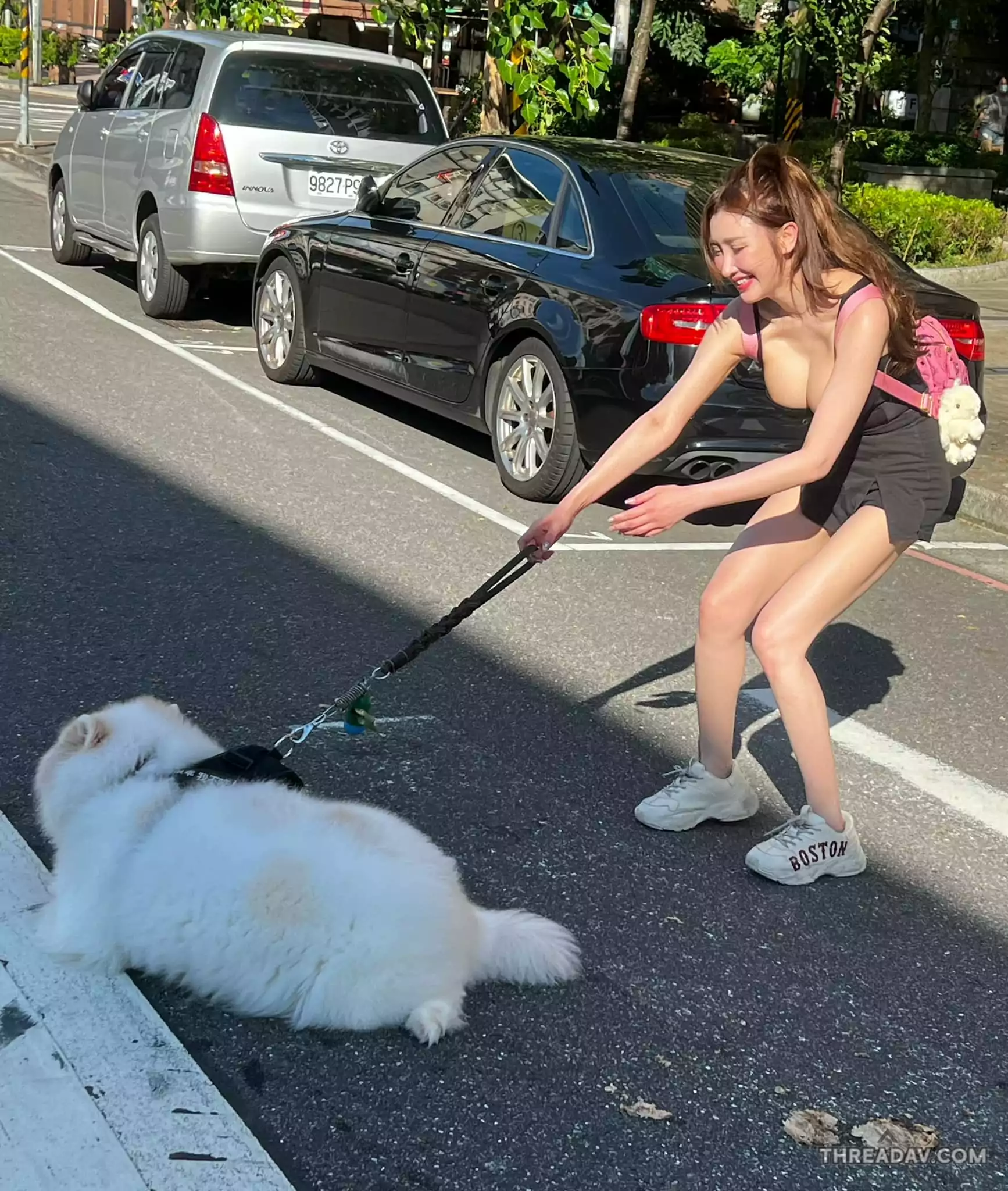 【爆笑片】中和「巨乳長腿妹」遛狗卡斑馬線上，結果讓路人傻眼！