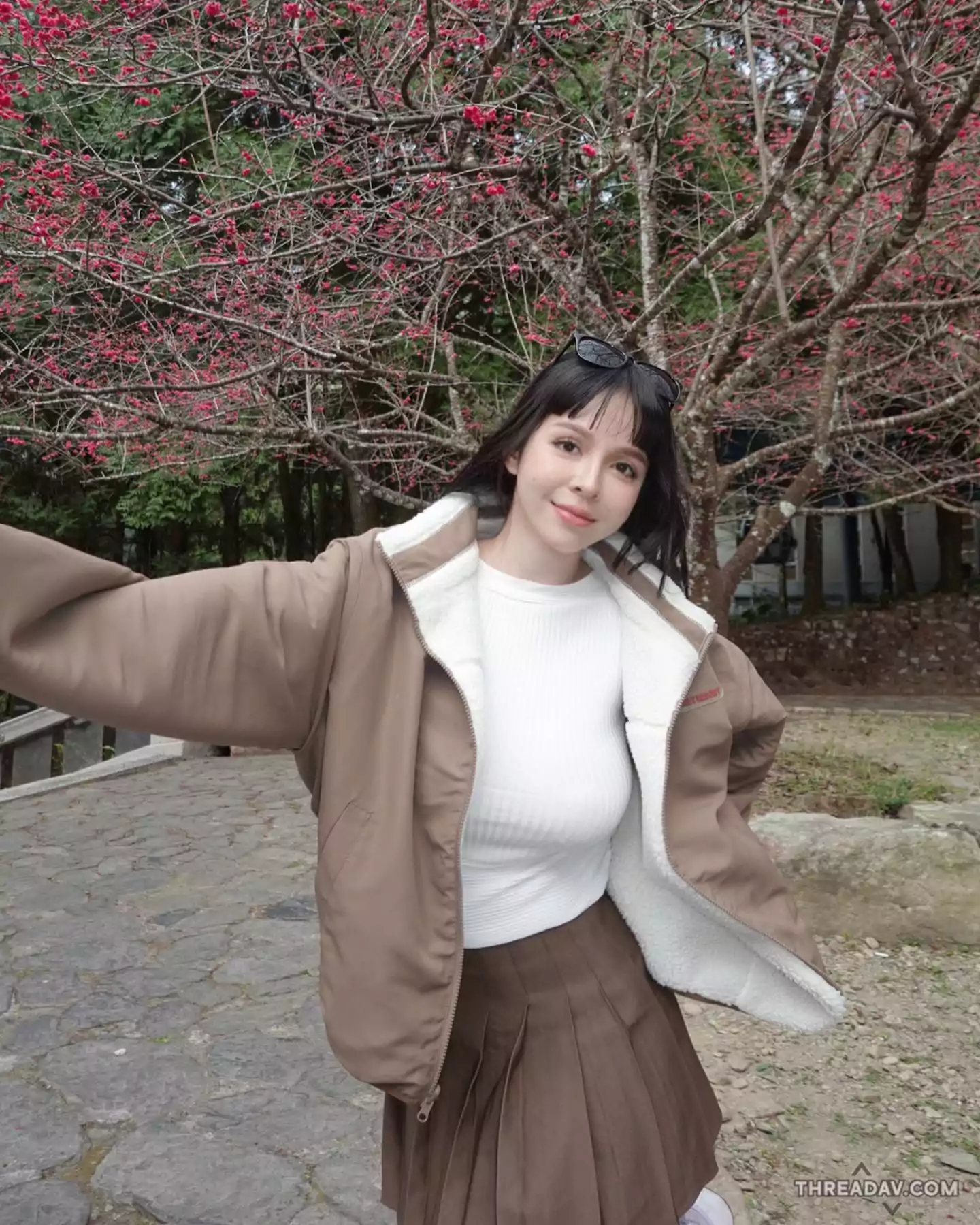 香菱賞櫻之旅：九族風光中的「絕美曲線」展現！