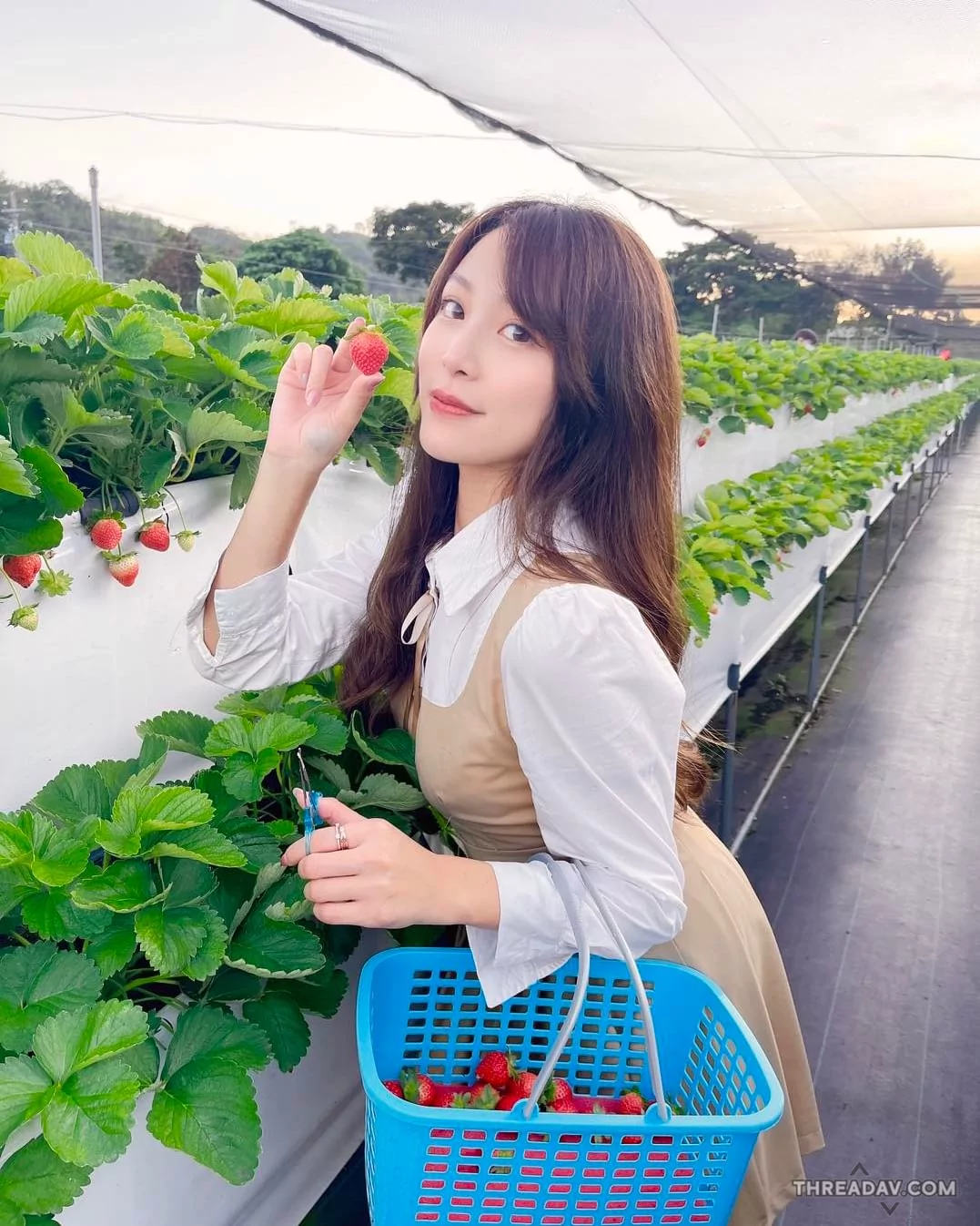 陽光正妹艾緒莉Ashley在草莓園！甜美魅力與凹凸曲線讓你想帶她回家