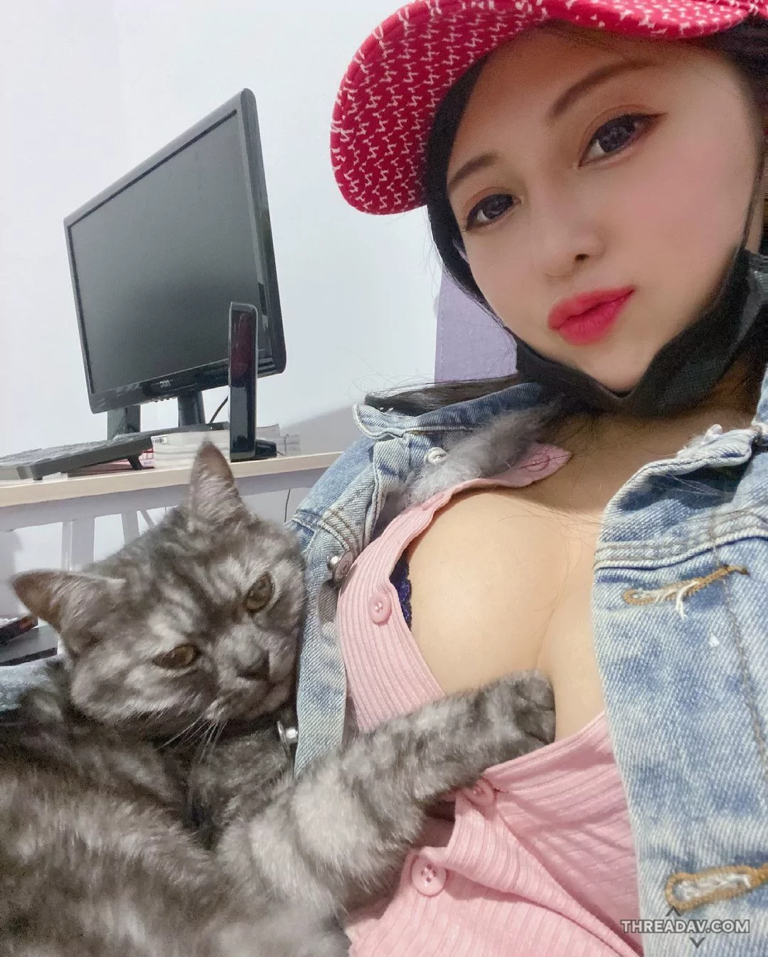 網紅美女「安希」化身愛貓專用肉墊：貓咪躺進深溝幸福入眠！