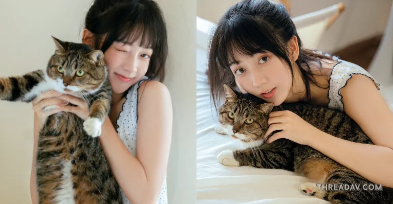 氧氣美少女！要選擇可愛的萌貓還是甜美的妹妹？