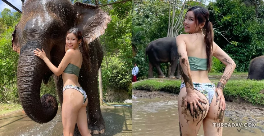 翹臀正妹性感洗大象！網友爆笑想報名 - 網路美女必看