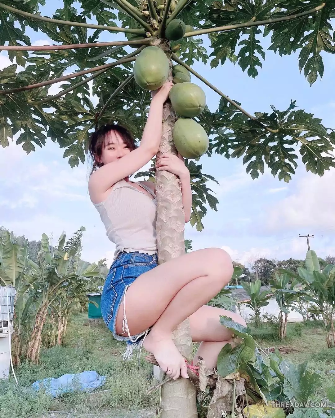 巨乳小姐姐爬樹摘木瓜！形補形魅力爆棚 - 網路美女必看