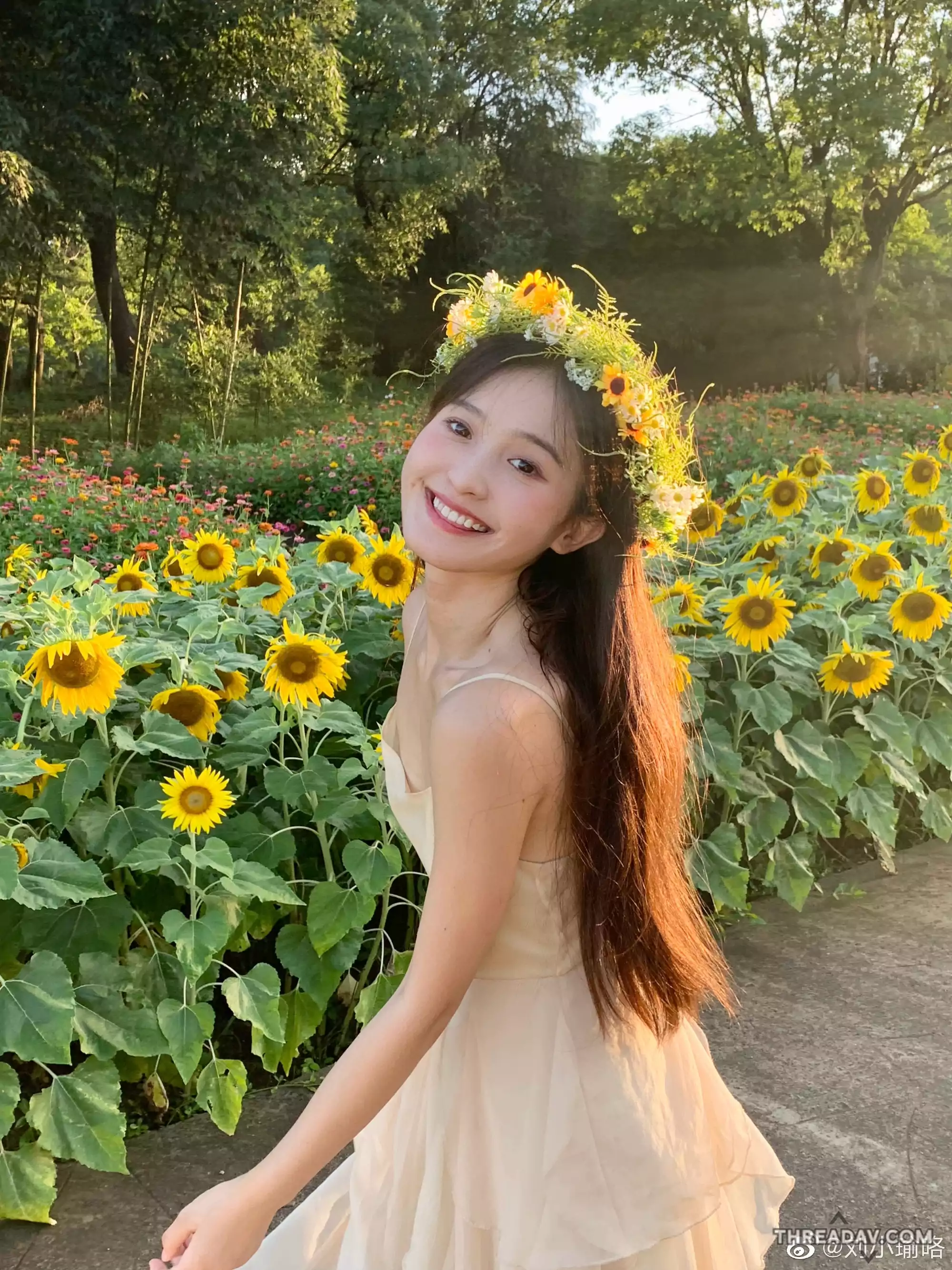 太陽花女神引爆網路！全糖笑容與清純軟萌風格，讓人無法抗拒專寵