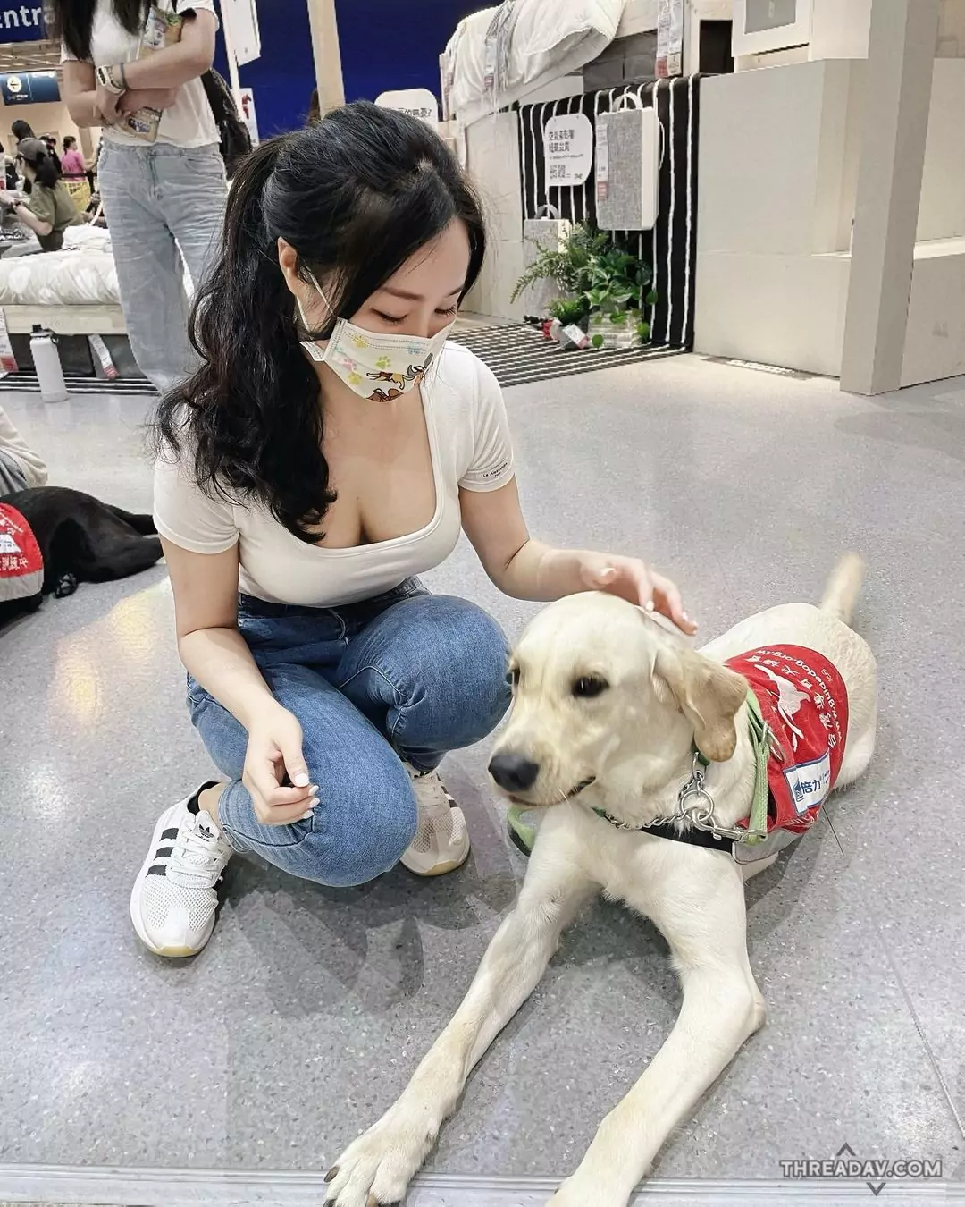 混血導盲犬協會義工Mavis展現亮眼魅力，你絕對不能錯過！