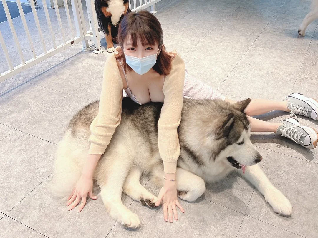 好重！正妹低胸爆乳用飽滿雙峰壓狗狗　網友表示想重新投胎 - 網路美女
