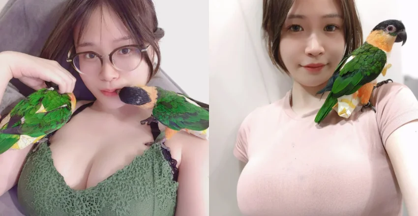 巨乳正妹「乃米nainai」給愛鳥站上滿滿的奶奶大平台！ - 網路美女
