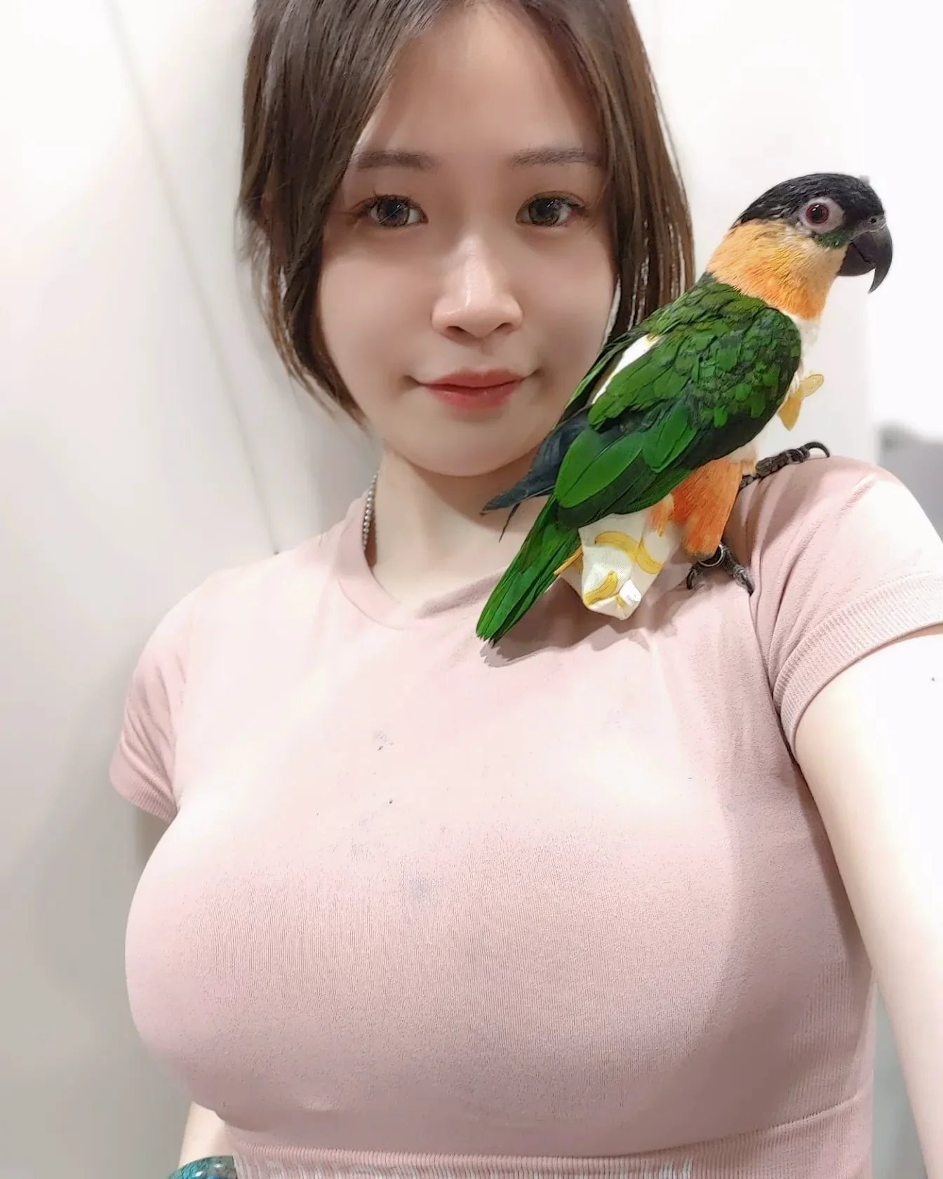 巨乳正妹「乃米nainai」給愛鳥站上滿滿的奶奶大平台！ - 網路美女