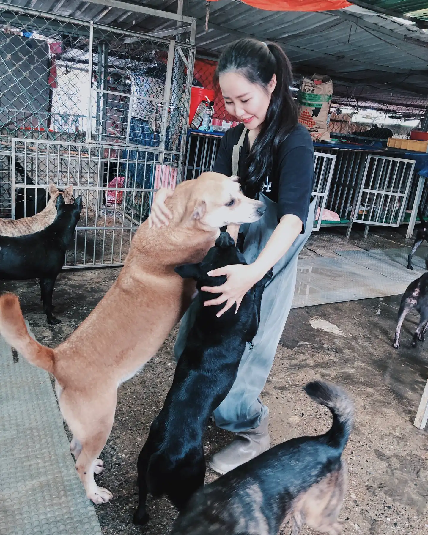 人美心善！台越混血正妹動物志工「Mavis」顏值和身材都封頂 - 網路美女