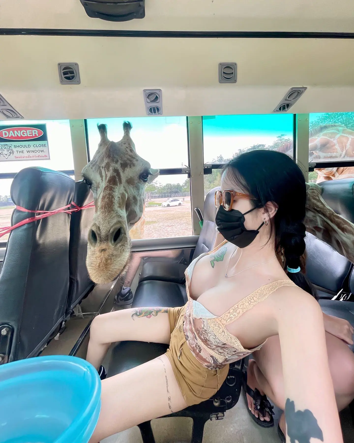 「巨乳妹」野生動物園餵長頸鹿被襲擊　趕緊趴下保護雙峰！ - 網路美女
