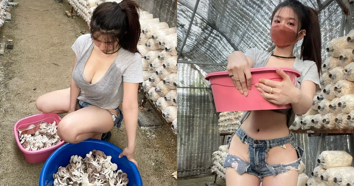超狂巨乳「香菇妹」採收穿搭好清涼！「白嫩三角」挖洞通風，若隱若現好色色！ - 網路美女