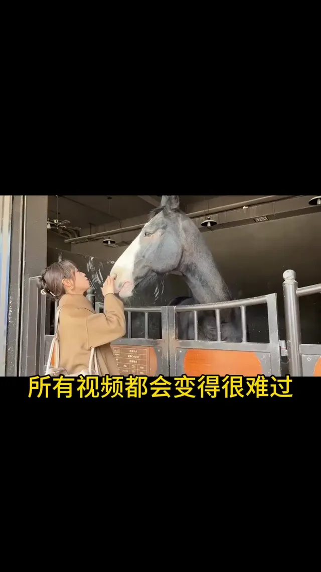 聽說配上這個BGM,所有的影片都會很難過🤣