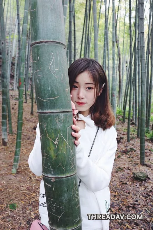 我是迷路在竹林中的可愛小白兔，有人想撿回去收養的嗎