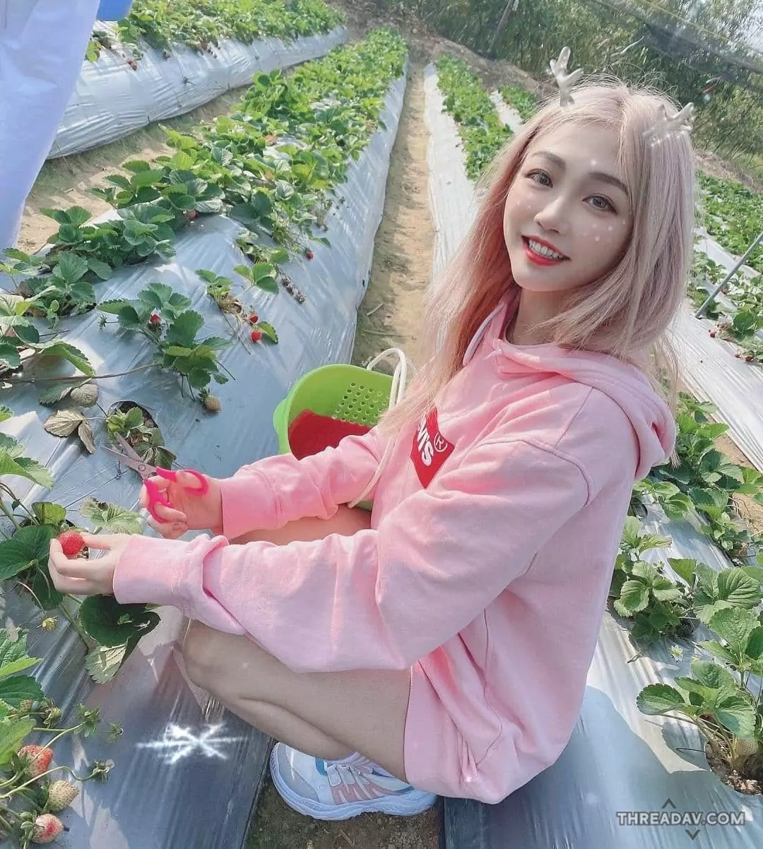 冬天草莓季與七仙子