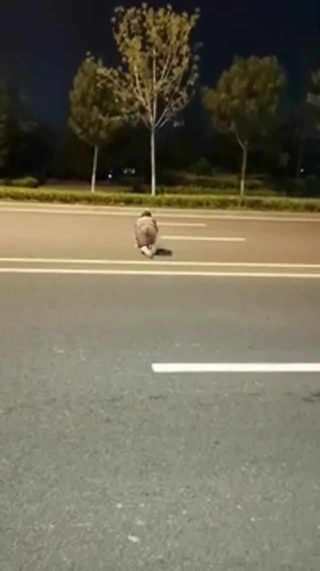 母狗太騷直接狗爬到路間，連肛塞後也直接到地鐵在眾人面前 - 真實露出投稿影片內容