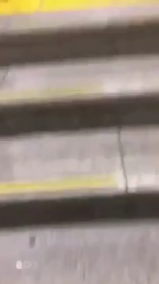 母狗太騷直接狗爬到路間，連肛塞後也直接到地鐵在眾人面前 - 真實露出投稿影片內容