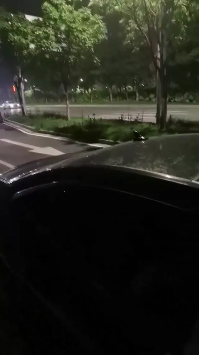 夜宵之后，带着小母狗出来溜溜，晚上还是不要开快车不然就会错过这样美丽的风景 - 真實露出投稿影片內容