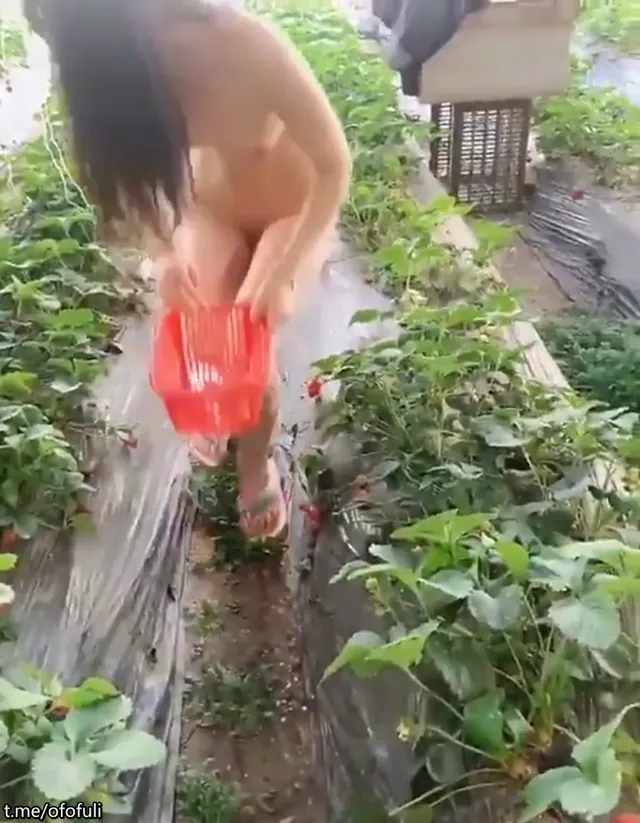 騷樣母狗在大街上野外脫光後大搖大擺在人群中裸露她那姣好身材