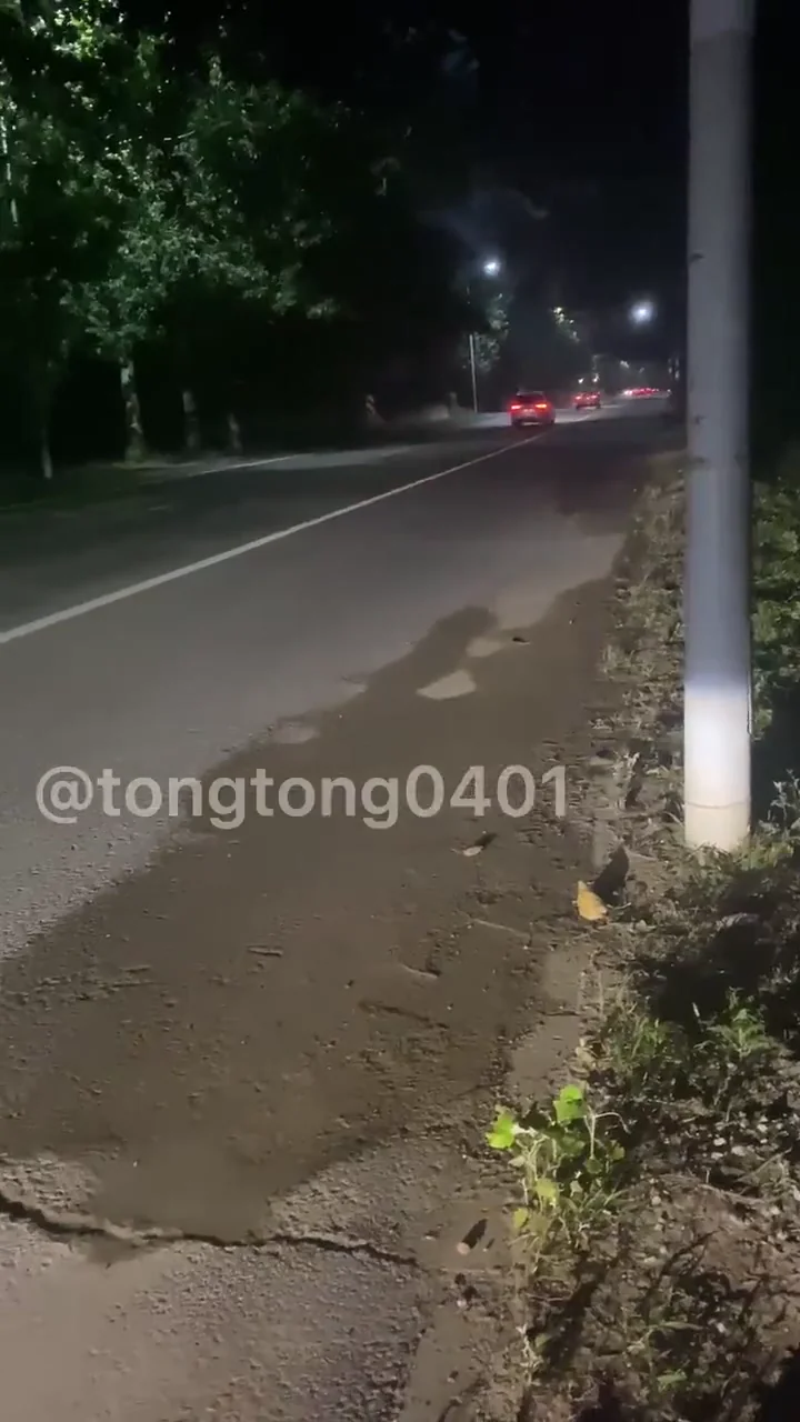 反差婊子全裸在路边暴露身体，路上還一堆車，最後結束前還吸了口雞巴