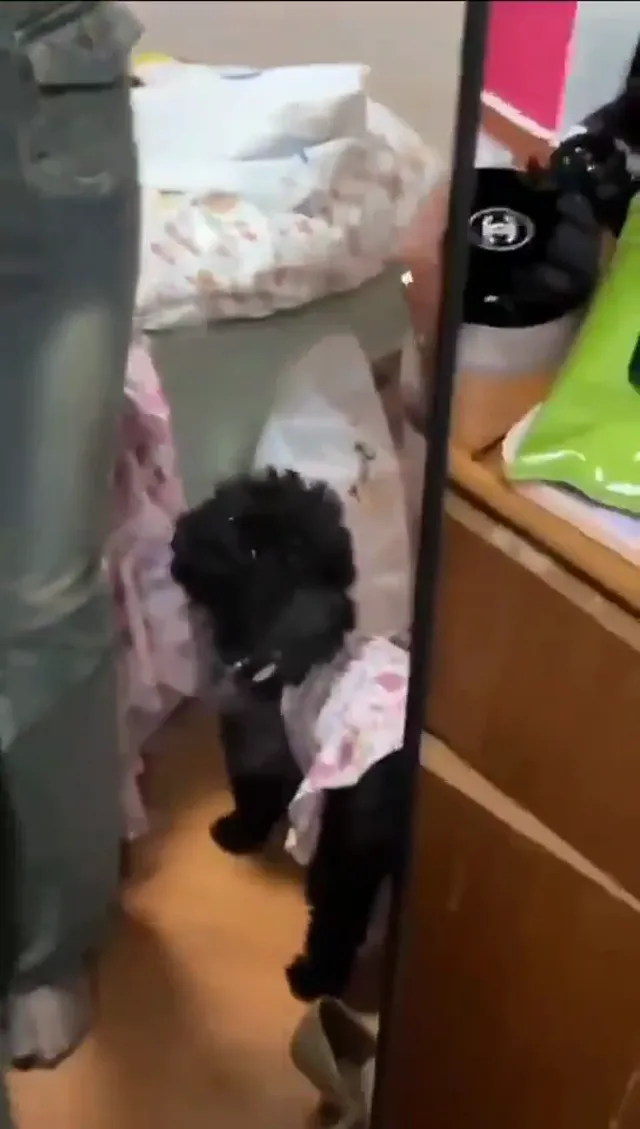 制服诱惑反差婊  - 清純外貌下藏不住的慾望反差