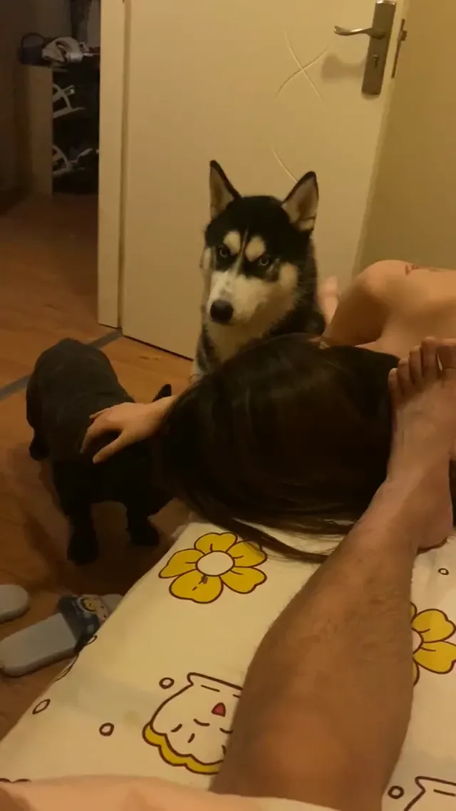 甜美女原來私底下喜愛多人群P調教，看不出來這麼騷 - 清純外貌下藏不住的慾望反差