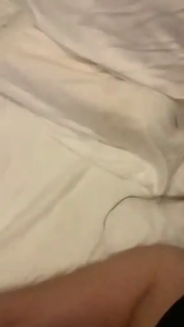 女友愛當母狗又喜被凌虐，SM道具通通都嘗試還找多人插她滿足她