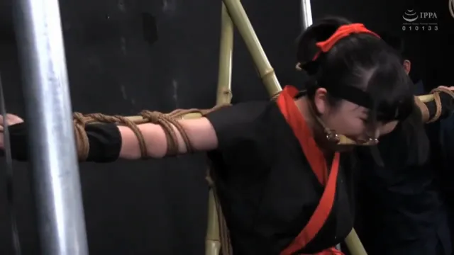 女忍者执行任务失败被抓住了，沦落到这个下场了