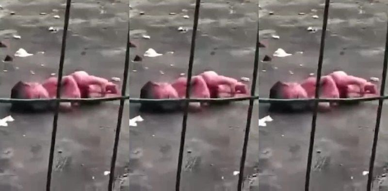 南京江宁高职清纯女学生宿舍惊现弃婴！室友帮忙接生后一气扔掉 疑似被两男绿帽轮番上床搞大肚
