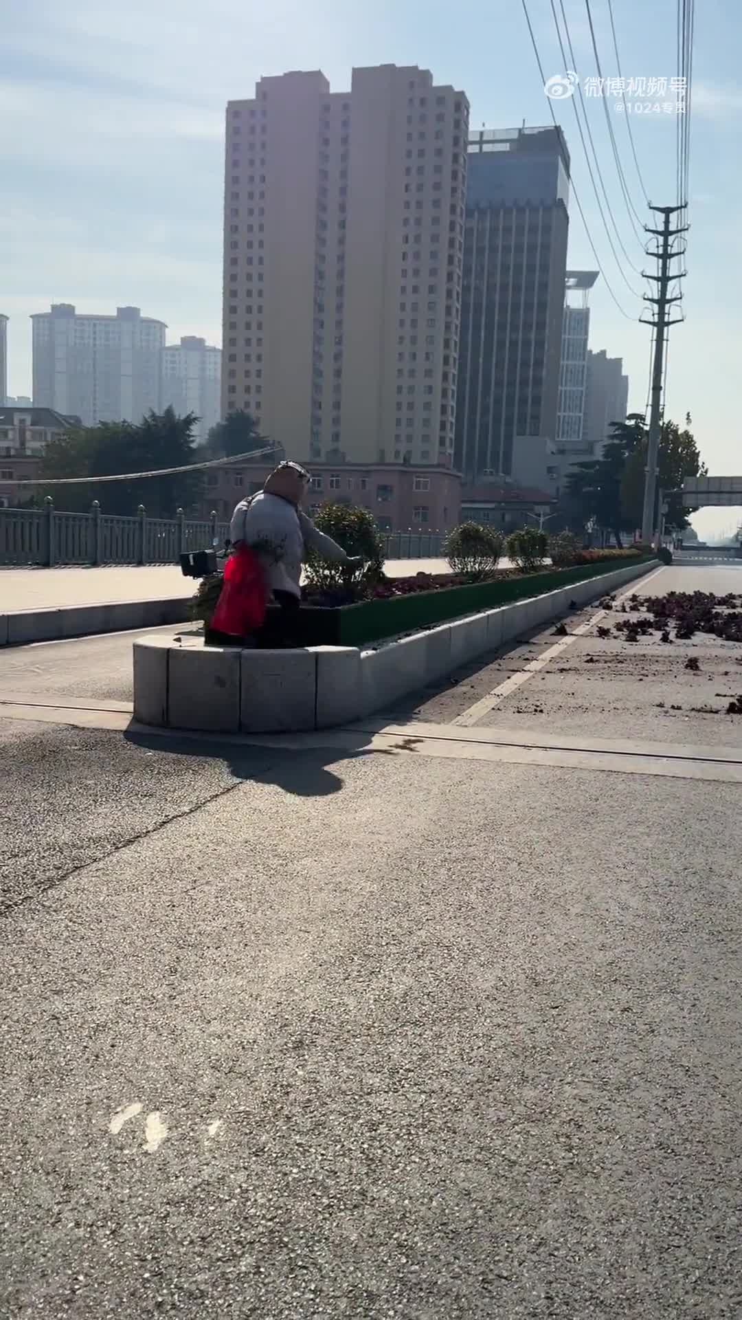 小区大姐为绿植暴怒？冲突瞬间彻底爆发！
