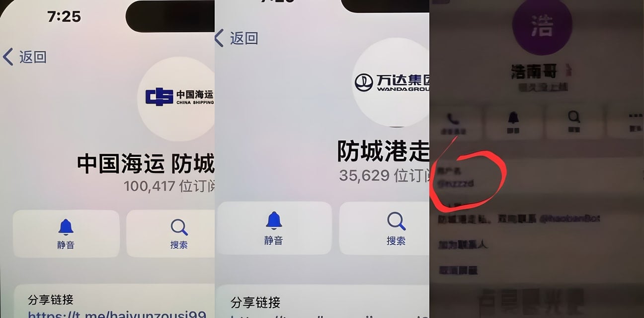 洪兴社黑帮绑架勒索大瓜！阿祖思聪骗猪仔三万美金仍不放人 新频道曝光