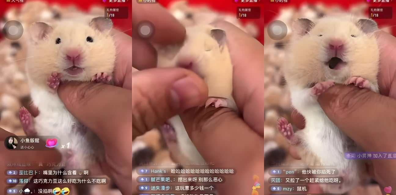 劲爆！网红老鼠自产自销私密大瓜流出 极品嫩模狂野自慰高潮喷水