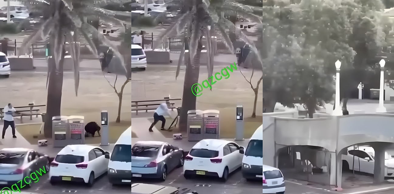 悉尼街头惊魂！白衣硬汉赤手空拳暴打持枪暴徒 眼看要爬起掏枪反杀？
