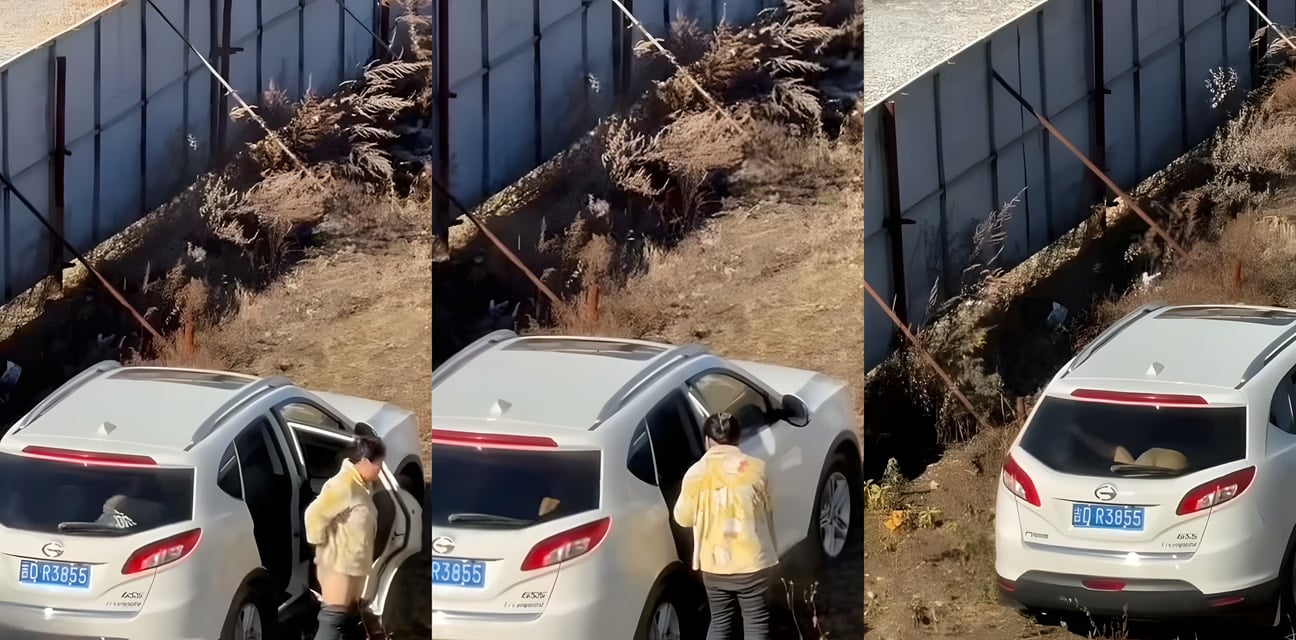 辽源吉DR3855车震大屁股肥臀妹野外激战全曝光！后入狂顶白嫩翘臀爽翻天车主社死