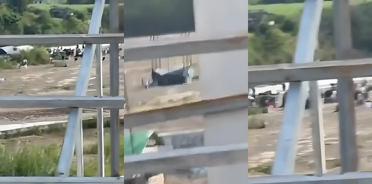 顺达园区狗推大逃亡！泰缅边境嫩模被泰国军抓捕狂欢现场曝光