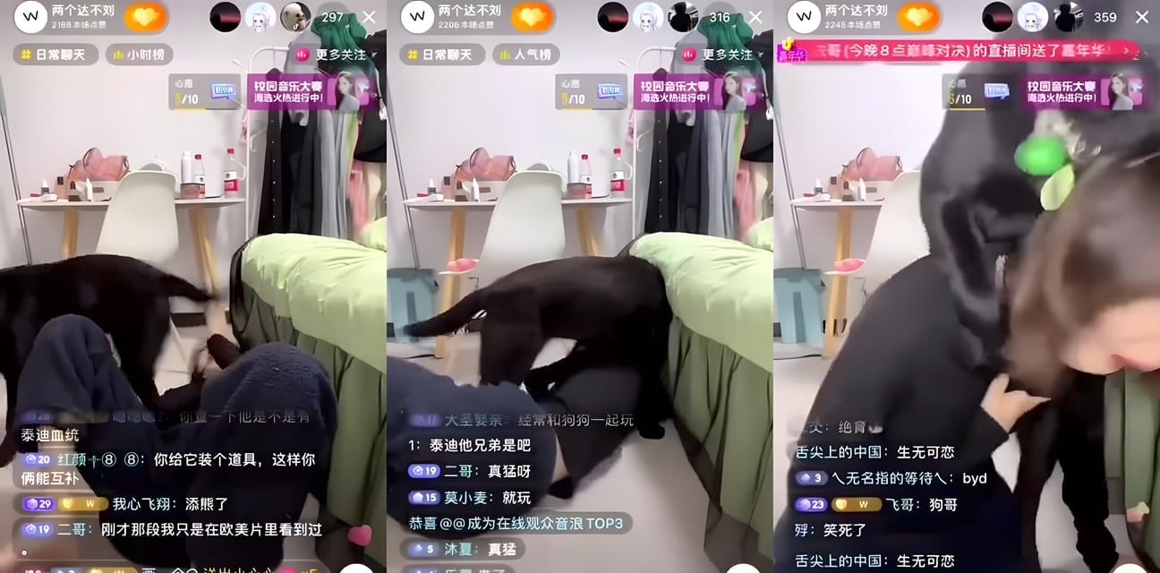 狗狗前世色鬼附體？狂舔美女私處想硬上 搞笑視頻勁爆全網