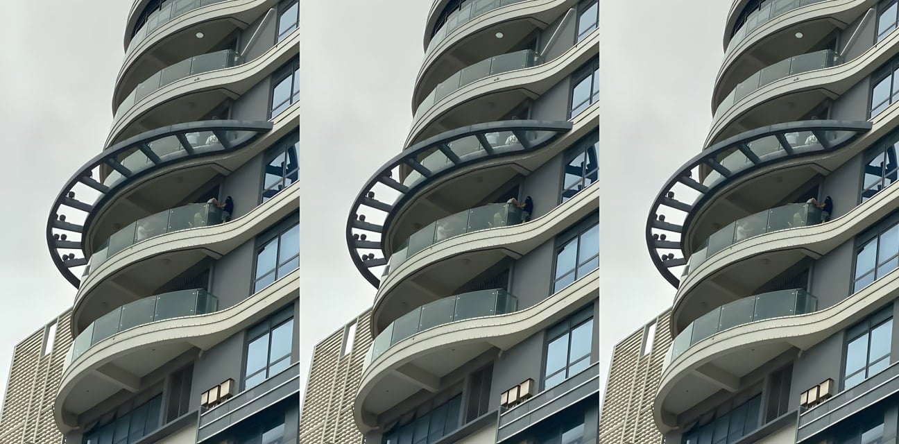 西港金狮酒店跳楼大哥惊天后续！被救下竟因偷情嫩模曝光